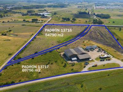 Venta campo y galpones industriales en durazno