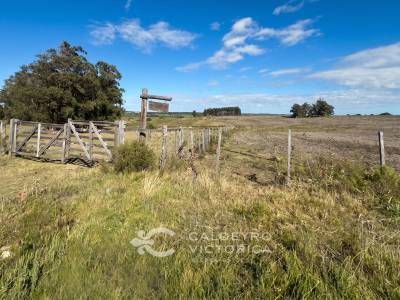 Chacra en venta en lavalleja (10412), 32ha pr&oacute;ximas a solis de mataojo