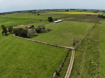 Chacra en venta - 9,6 ha - 2 casas - san jacinto