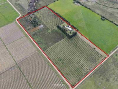 Chacra en venta 7,3 ha - las brujas, canelones